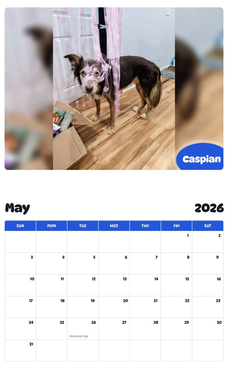 2026 - 2027 Caspian - Pawidols Pet Calendar