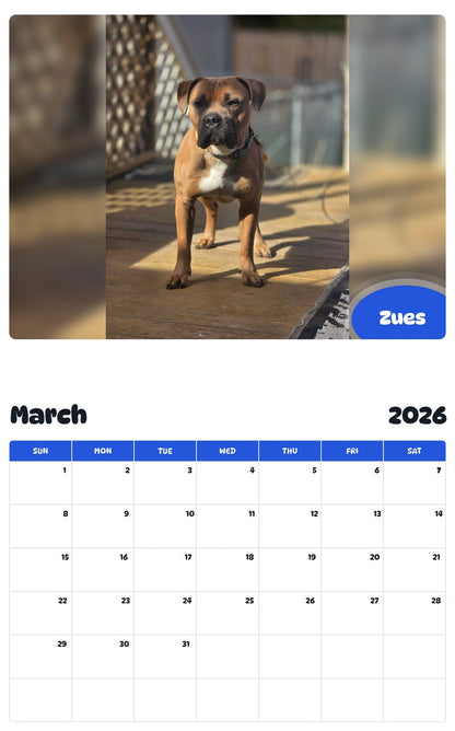 November 2025 - October 2026 Zues - Pawidols Pet Calendar