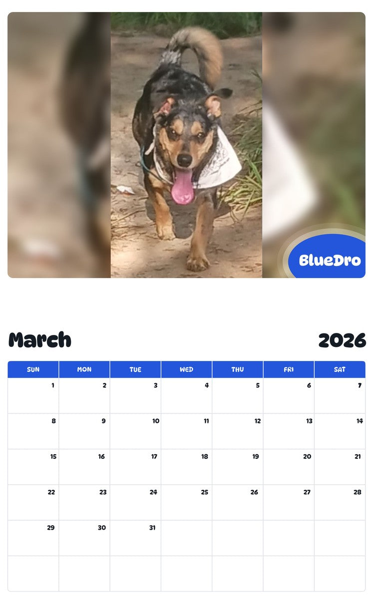 November 2025 - October 2026 BlueDro - Pawidols Pet Calendar