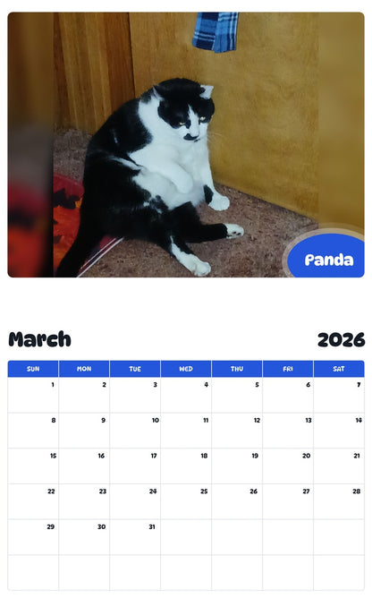 November 2025 - October 2026 Panda - Pawidols Pet Calendar