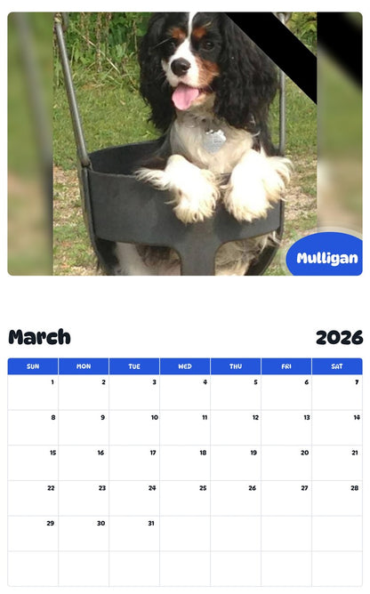 November 2025 - October 2026 Mulligan - Pawidols Pet Calendar