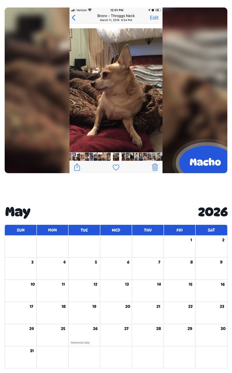 2026 - 2027 Macho - Pawidols Pet Calendar