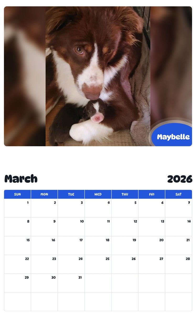 November 2025 - October 2026 Maybelle - Pawidols Pet Calendar