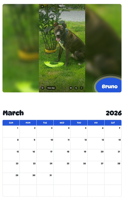 November 2025 - October 2026 Bruno - Pawidols Pet Calendar