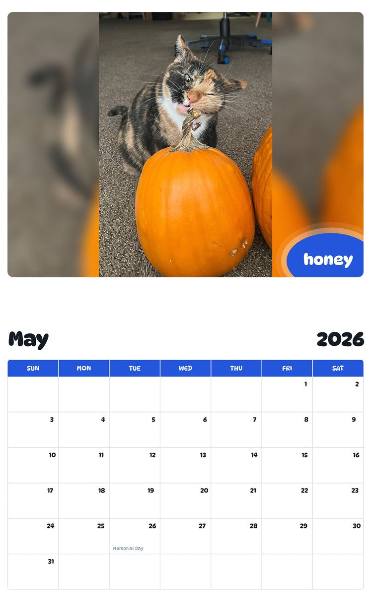 2026 - 2027 honey - Pawidols Pet Calendar