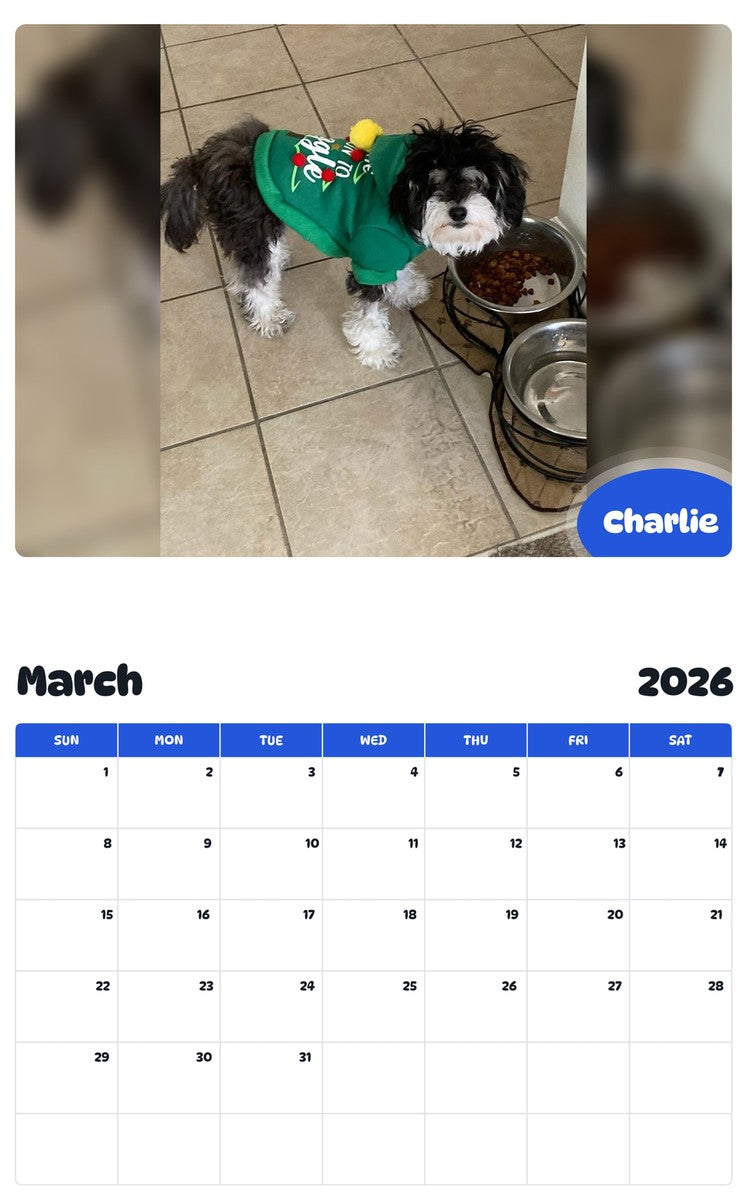 November 2025 - October 2026 Charlie - Pawidols Pet Calendar