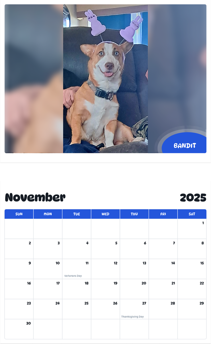 July 2025 - June 2026 Bandit - Pawidols Pet Calendar