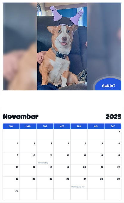 July 2025 - June 2026 Bandit - Pawidols Pet Calendar