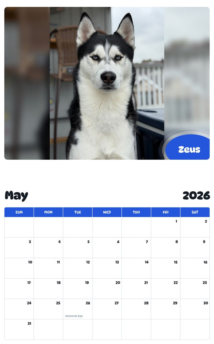 2026 - 2027 Zeus - Pawidols Pet Calendar