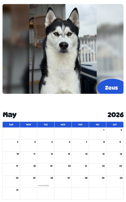 2026 - 2027 Zeus - Pawidols Pet Calendar