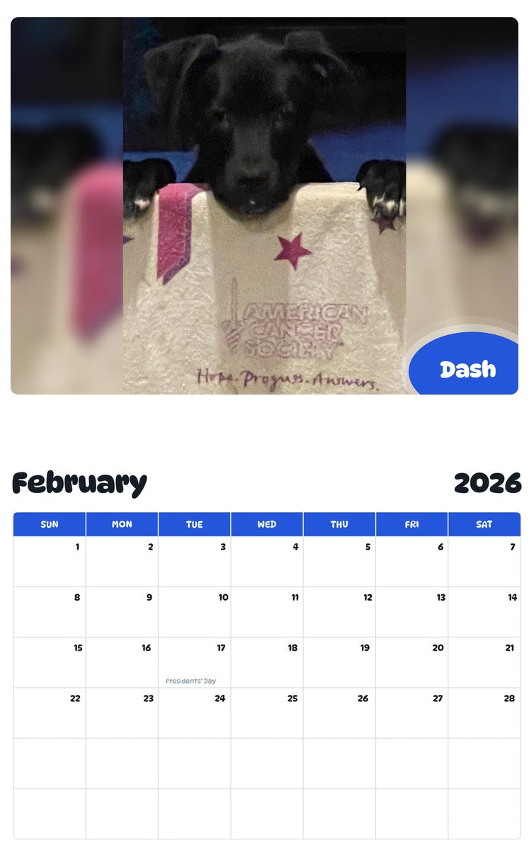 November 2025 - October 2026 Dash - Pawidols Pet Calendar
