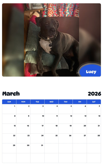 November 2025 - October 2026 Lucy - Pawidols Pet Calendar