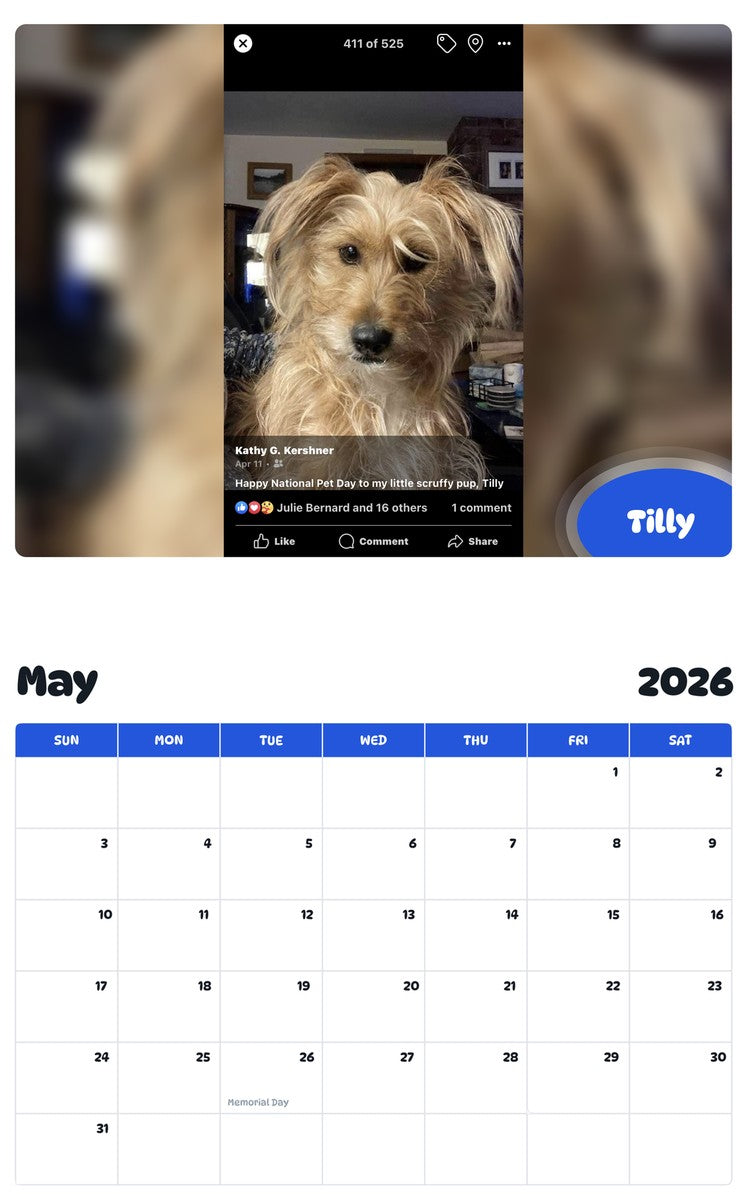 2026 - 2027 Tilly - Pawidols Pet Calendar