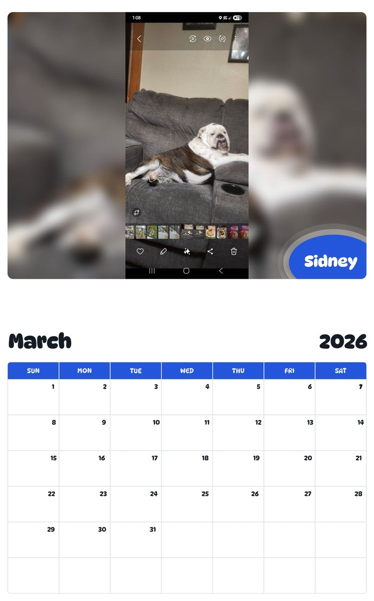 November 2025 - October 2026 Sidney - Pawidols Pet Calendar