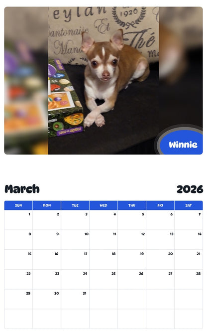 November 2025 - October 2026 Winnie - Pawidols Pet Calendar
