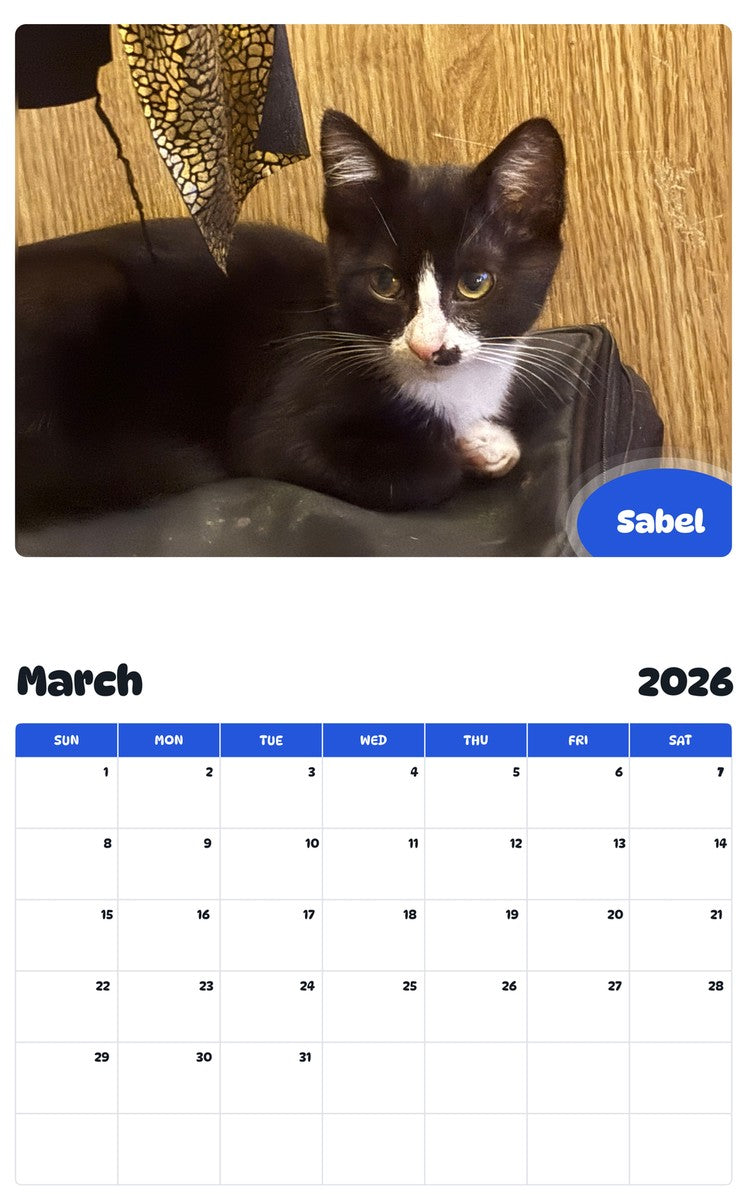 November 2025 - October 2026 Sabel - Pawidols Pet Calendar