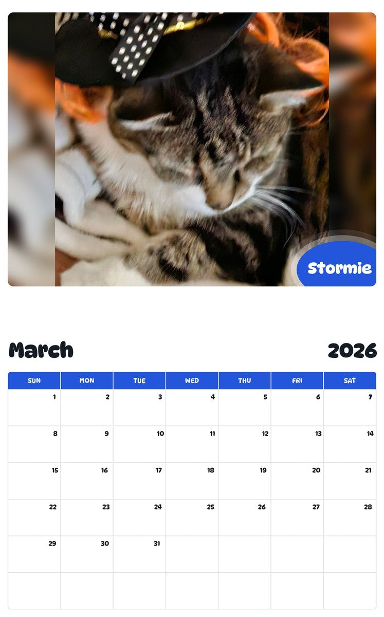 November 2025 - October 2026 Stormie - Pawidols Pet Calendar