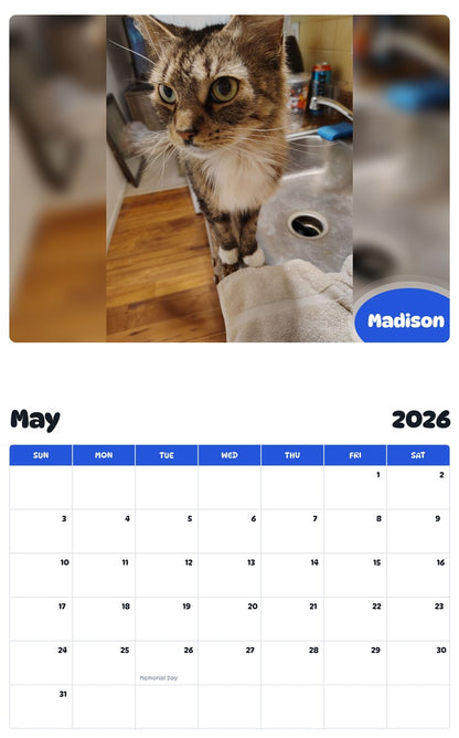 2026 - 2027 Madison - Pawidols Pet Calendar