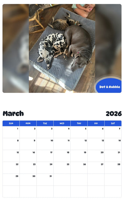 November 2025 - October 2026 Dot & Rubble - Pawidols Pet Calendar
