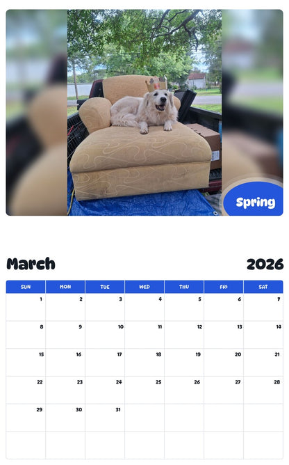 November 2025 - October 2026 Spring - Pawidols Pet Calendar