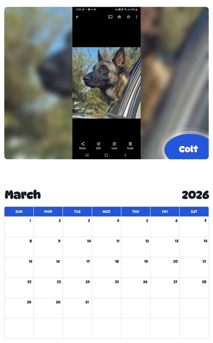 November 2025 - October 2026 Colt - Pawidols Pet Calendar