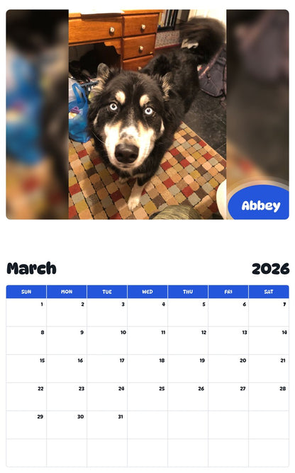 November 2025 - October 2026 Abbey - Pawidols Pet Calendar