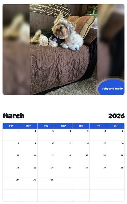 November 2025 - October 2026 Toby and Teddy - Pawidols Pet Calendar