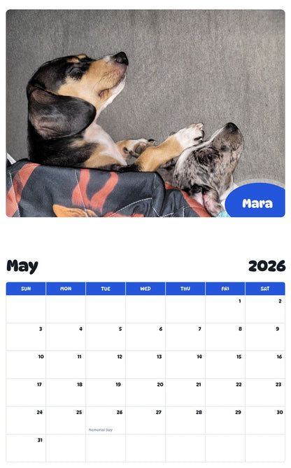 2026 - 2027 Mara - Pawidols Pet Calendar