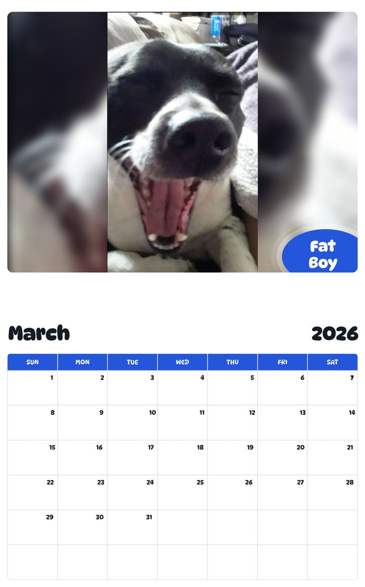 November 2025 - October 2026 Fat Boy - Pawidols Pet Calendar