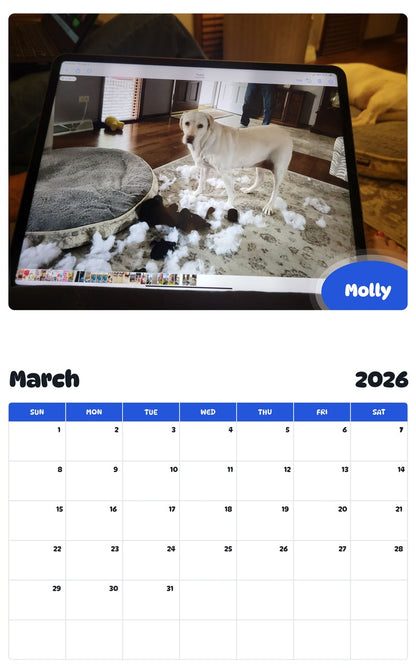 November 2025 - October 2026 Molly - Pawidols Pet Calendar