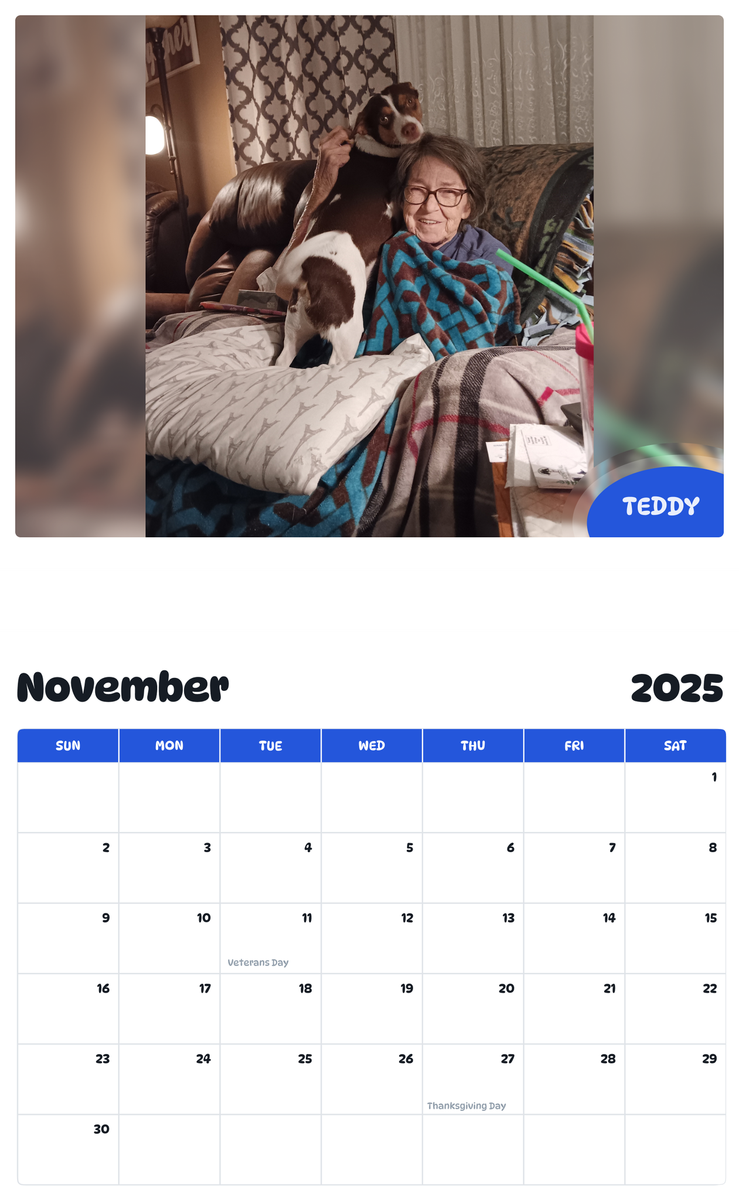 July 2025 - June 2026 Teddy - Pawidols Pet Calendar