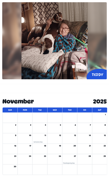 July 2025 - June 2026 Teddy - Pawidols Pet Calendar