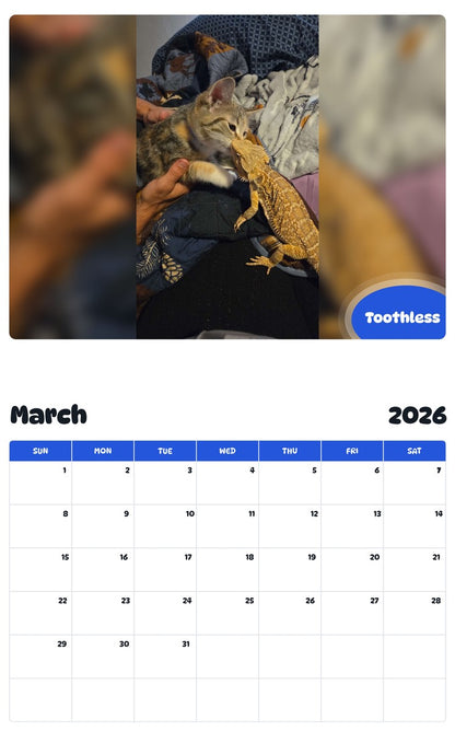 November 2025 - October 2026 Toothless - Pawidols Pet Calendar