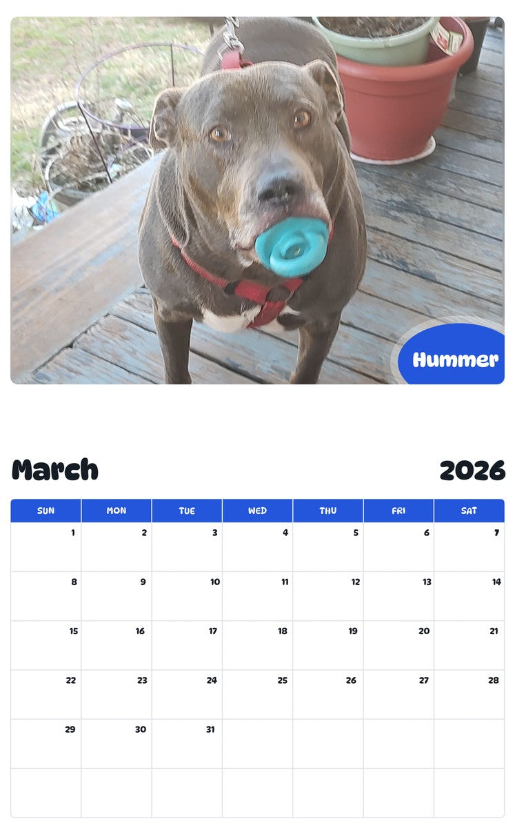 November 2025 - October 2026 Hummer - Pawidols Pet Calendar