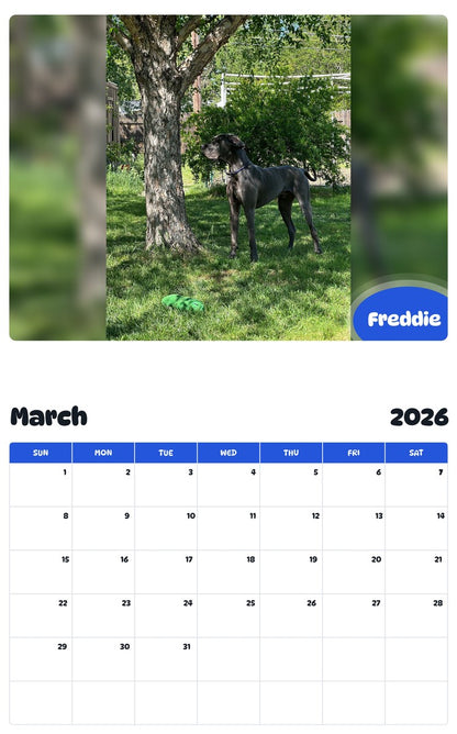 November 2025 - October 2026 Freddie - Pawidols Pet Calendar