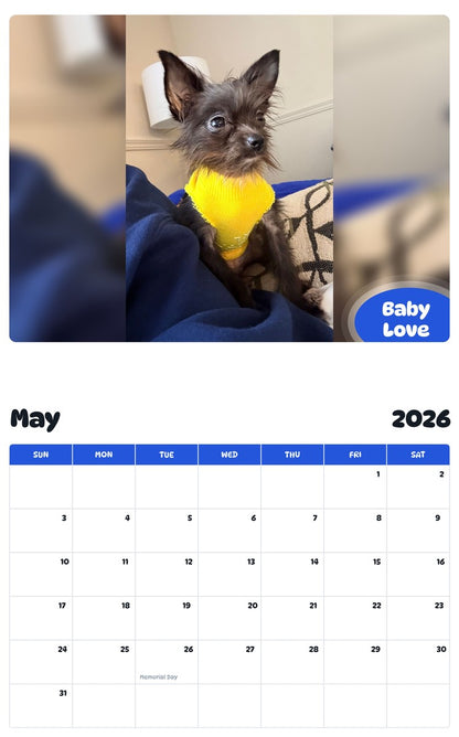 2026 - 2027 Baby Love - Pawidols Pet Calendar
