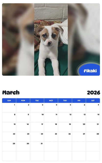 November 2025 - October 2026 Pikaki - Pawidols Pet Calendar