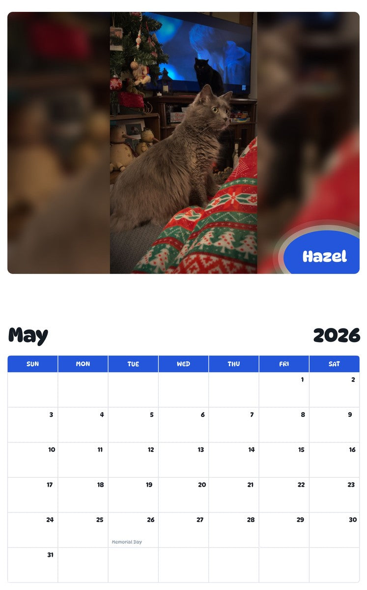2026 - 2027 Hazel - Pawidols Pet Calendar