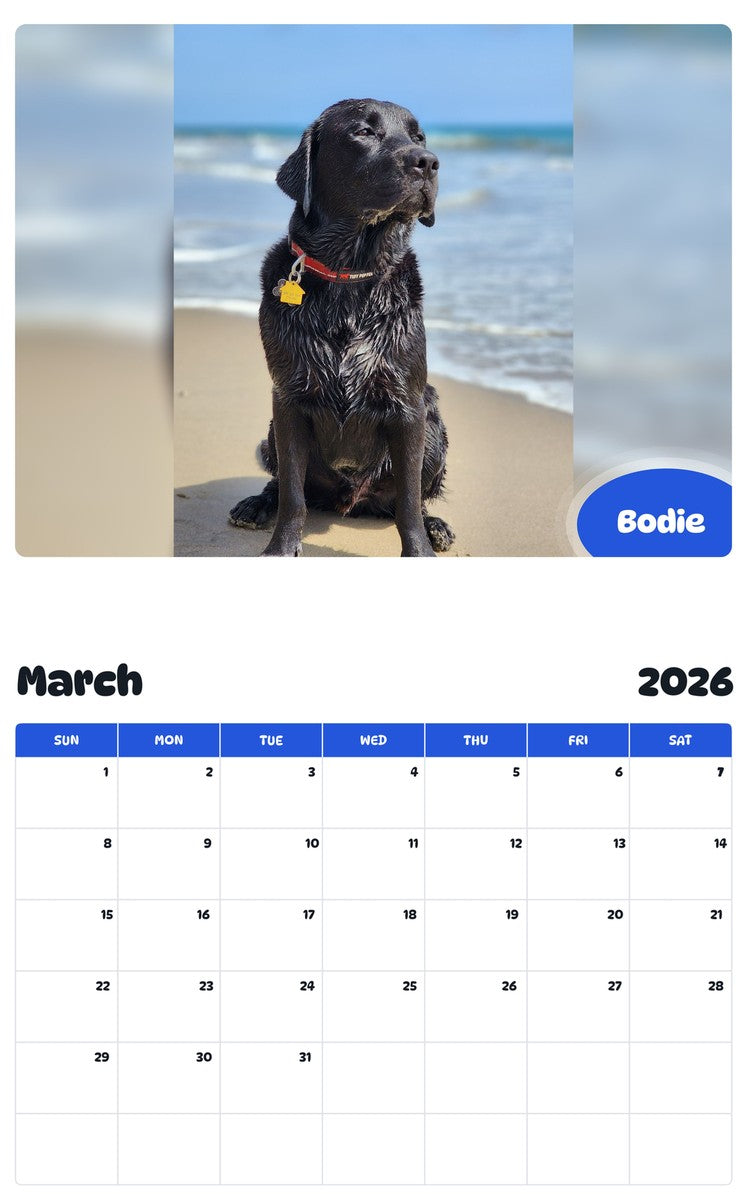 November 2025 - October 2026 Bodie - Pawidols Pet Calendar