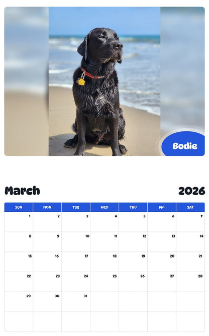 November 2025 - October 2026 Bodie - Pawidols Pet Calendar