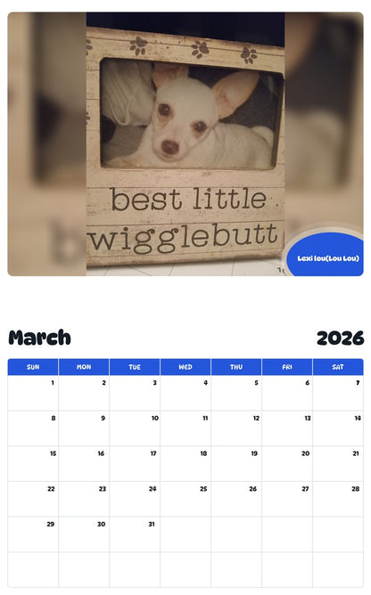 November 2025 - October 2026 Lexi lou(Lou Lou) - Pawidols Pet Calendar