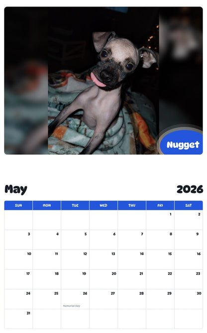 2026 - 2027 Nugget - Pawidols Pet Calendar