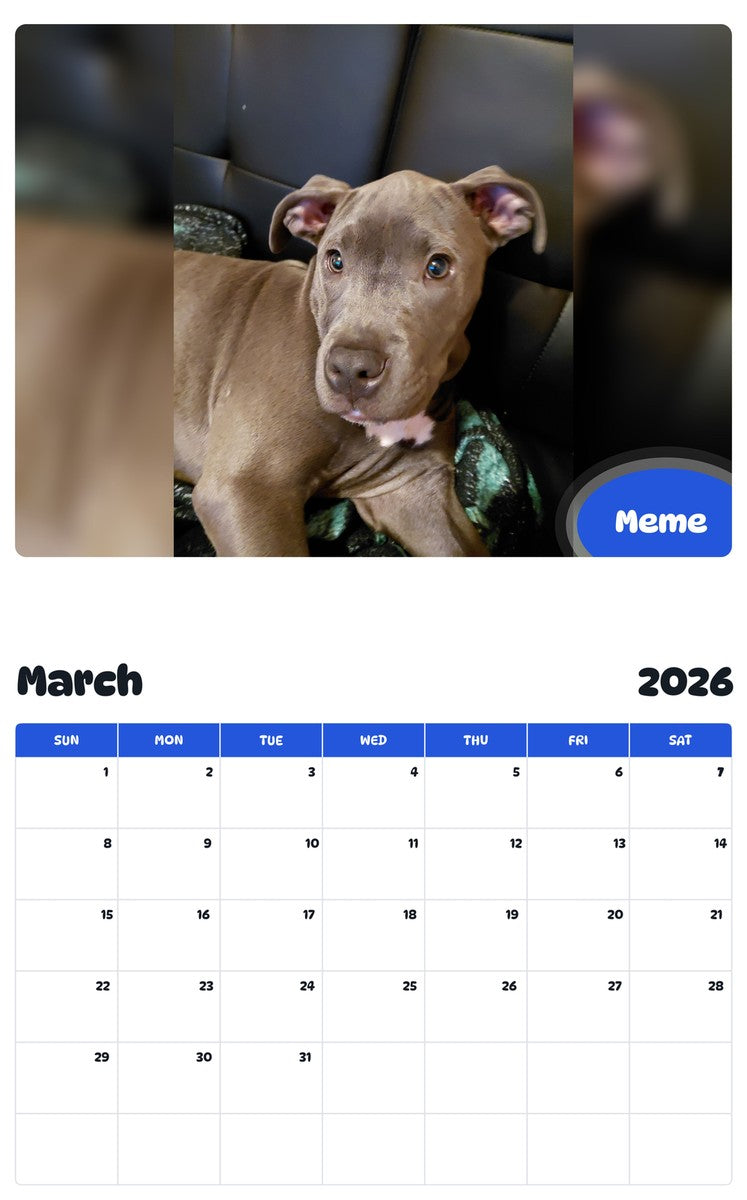 November 2025 - October 2026 Meme - Pawidols Pet Calendar