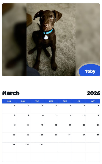 November 2025 - October 2026 Toby - Pawidols Pet Calendar