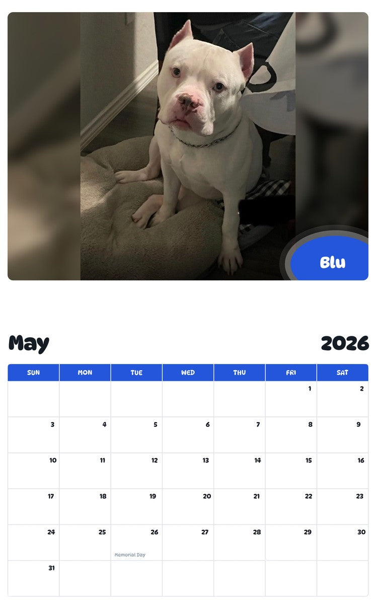 2026 - 2027 Blu - Pawidols Pet Calendar