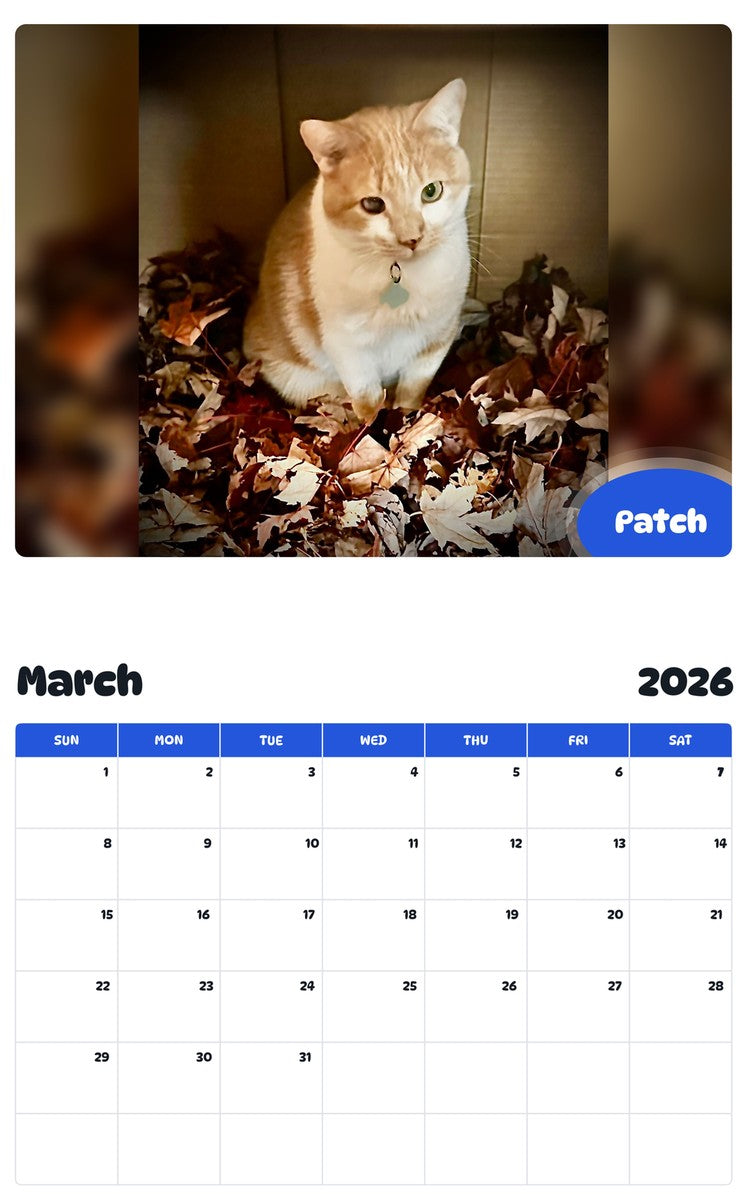 November 2025 - October 2026 Patch - Pawidols Pet Calendar