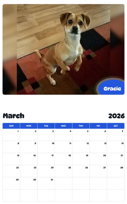 November 2025 - October 2026 Gracie - Pawidols Pet Calendar