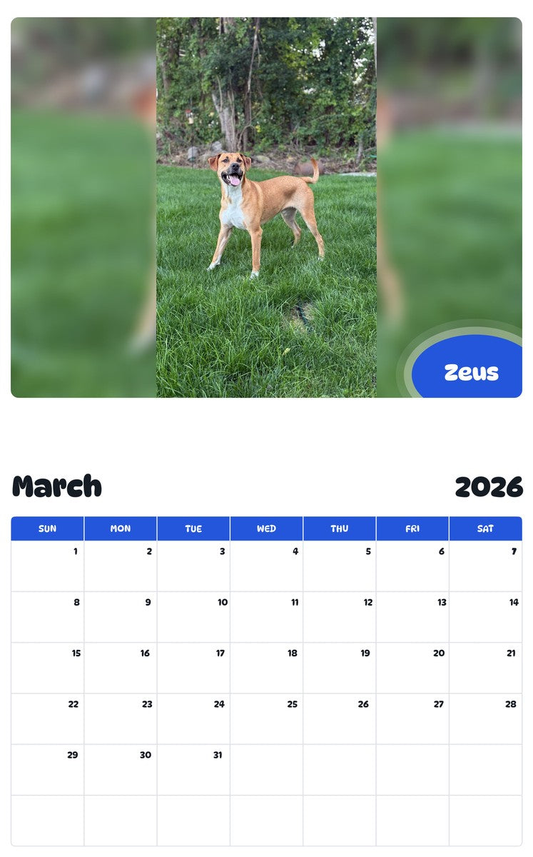 November 2025 - October 2026 Zeus - Pawidols Pet Calendar