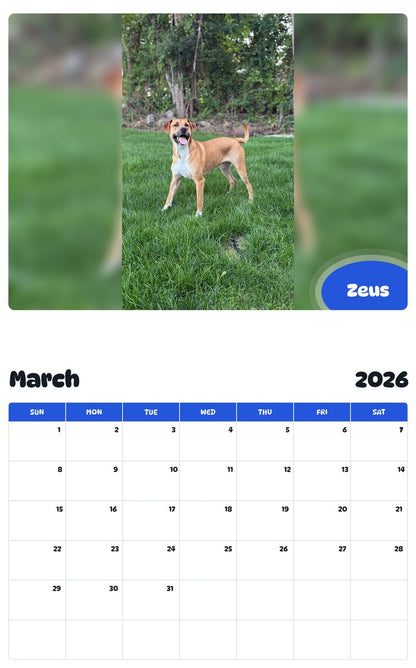 November 2025 - October 2026 Zeus - Pawidols Pet Calendar