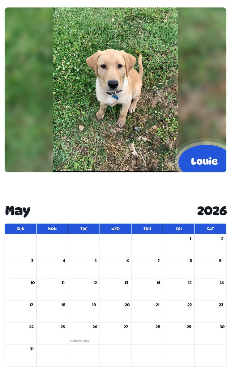 2026 - 2027 Louie - Pawidols Pet Calendar